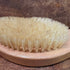Dry Brush Close-Up